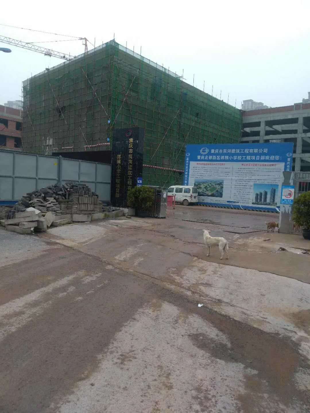 重庆博雅小学
