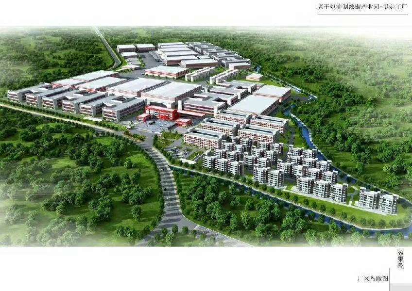 贵州贵定老干妈油辣椒项目